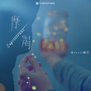 肉欲美妇高潮HD
